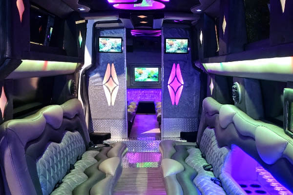 Tampa Bay Limousine Service & Car Service with Hummer Limos
